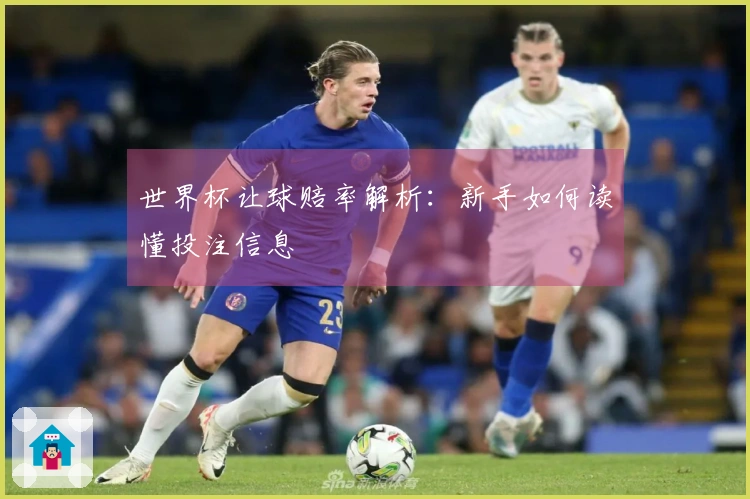 世界杯让球赔率解析：新手如何读懂投注信息
