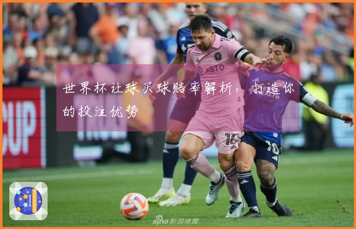 世界杯让球买球赔率解析，打造你的投注优势