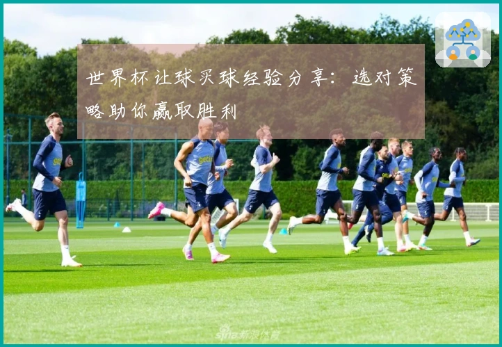 世界杯让球买球经验分享：选对策略助你赢取胜利