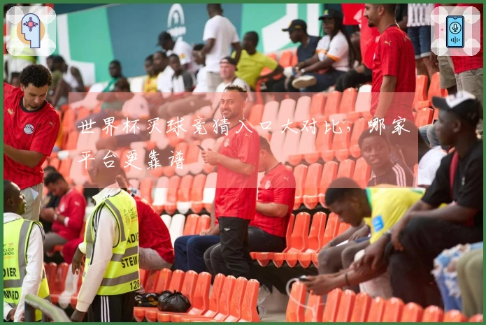世界杯买球竞猜入口大对比，哪家平台更靠谱