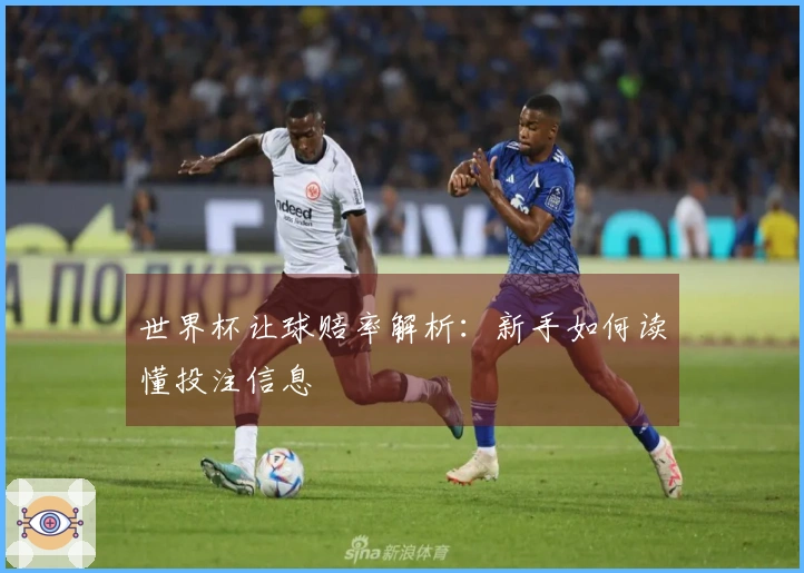 世界杯让球赔率解析：新手如何读懂投注信息