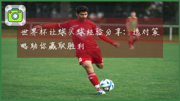 世界杯让球买球经验分享：选对策略助你赢取胜利