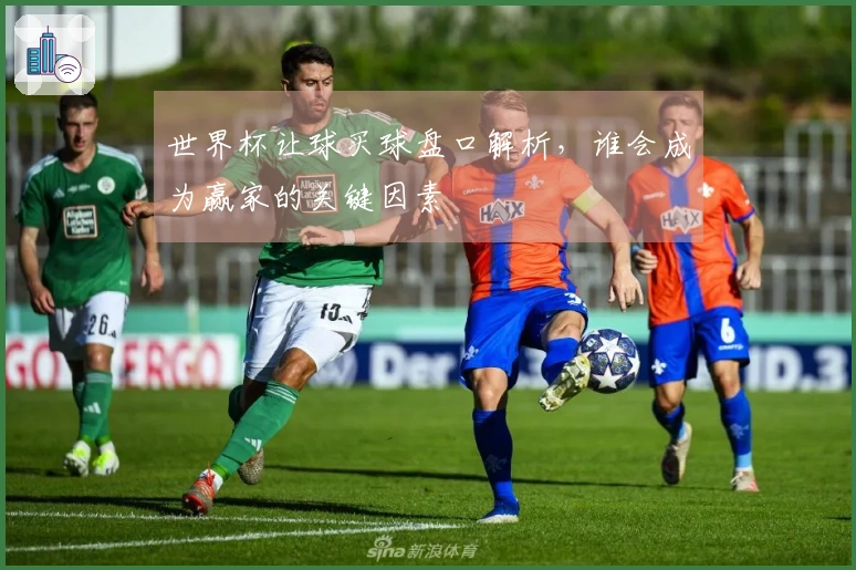 世界杯让球买球盘口解析，谁会成为赢家的关键因素