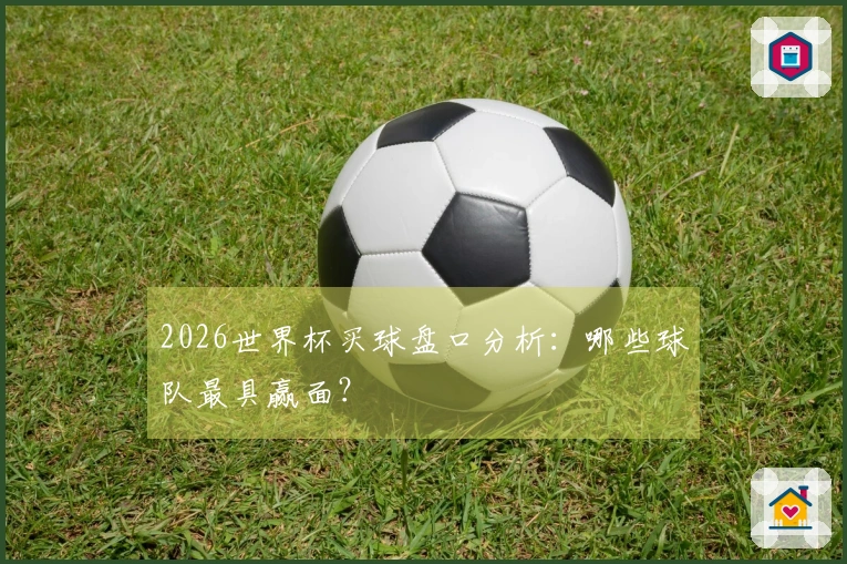 2026世界杯买球盘口分析：哪些球队最具赢面？