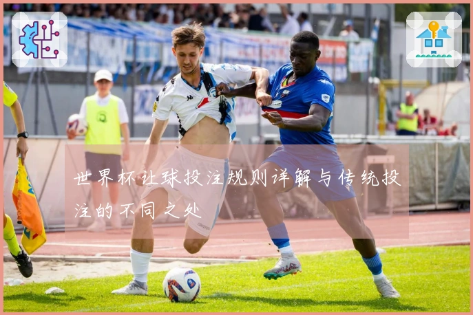 世界杯让球投注规则详解与传统投注的不同之处