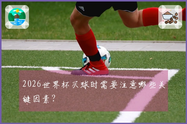 2026世界杯买球时需要注意哪些关键因素？
