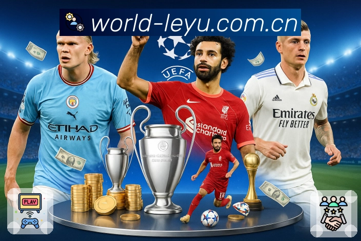 <strong>leyu</strong>入口防护与稳定